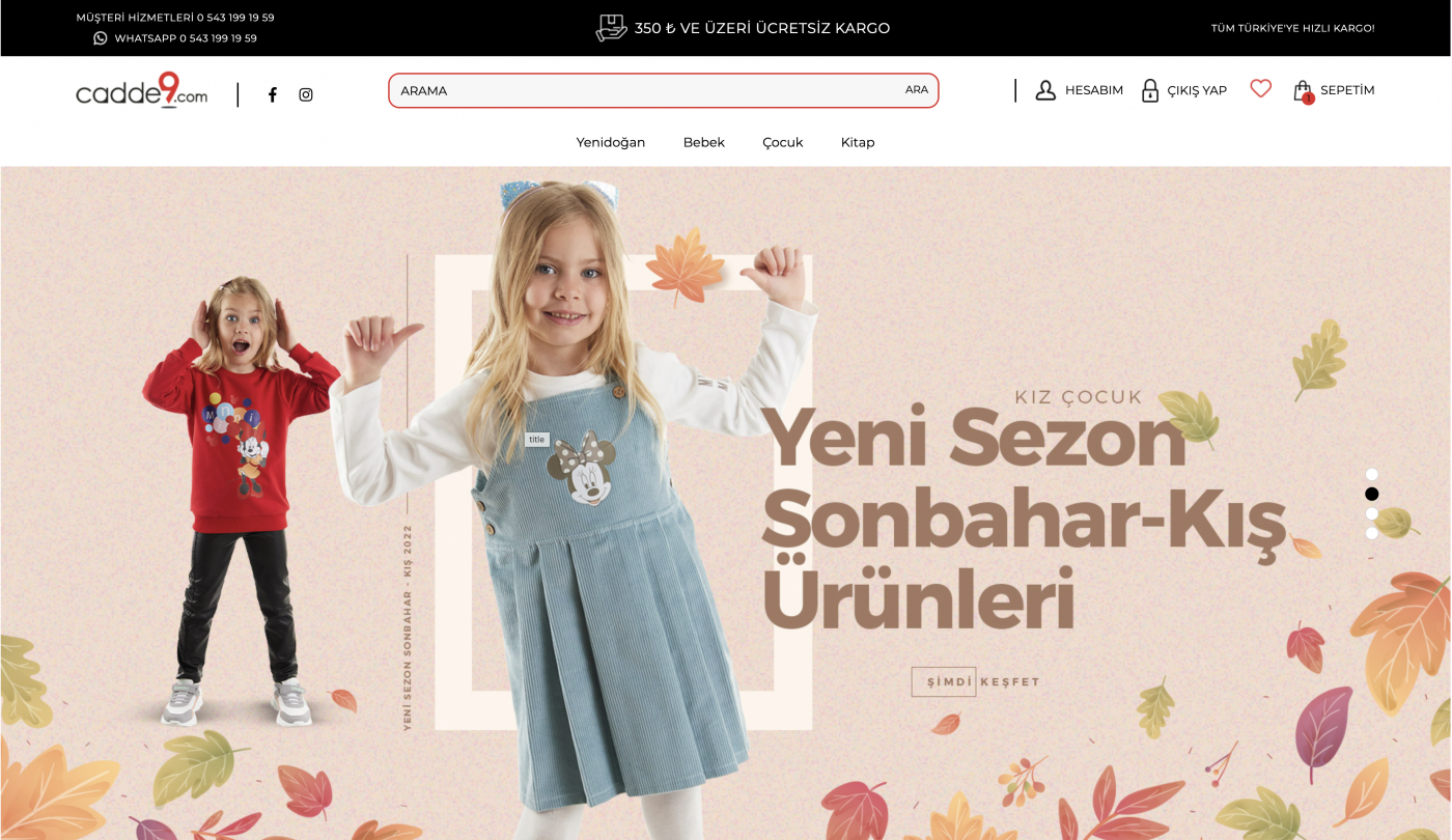 cadde9-website-design