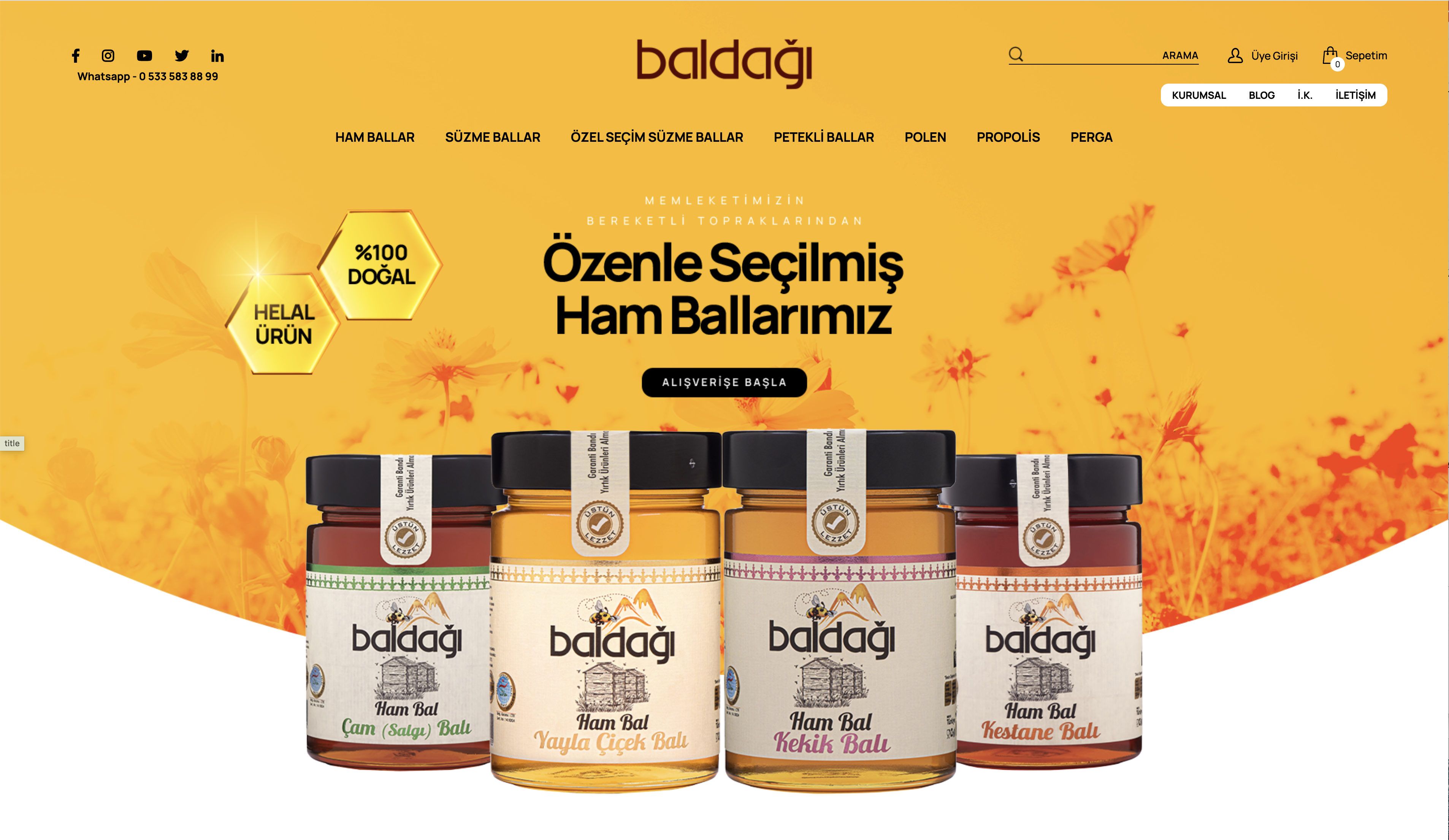 baldagi-website-design